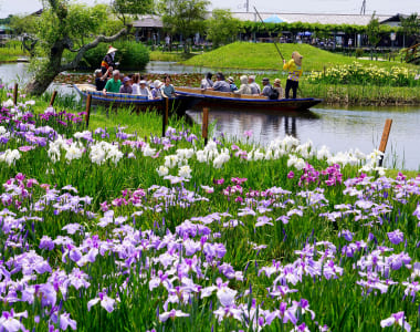 水郷佐原あやめパーク