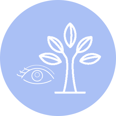 目にやさしい、自然の光と景色